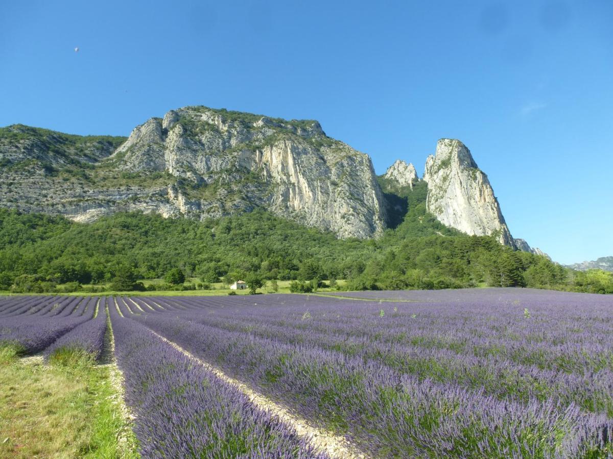 Tempepailla Bed & Breakfast Roynac Dış mekan fotoğraf